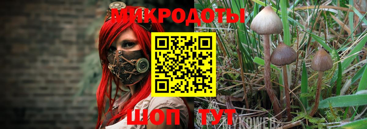 Псилоцибиновые грибы ЛСД  Вход с VPN  Саратов 